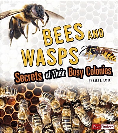 Bees and Wasps: Secrets of Their Busy Colonies (Paperback)