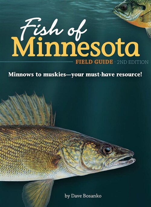 Fish of Minnesota Field Guide (Paperback)