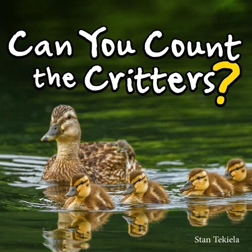 Can You Count the Critters? (Hardcover)