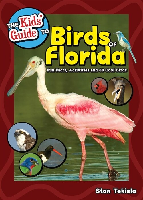 The Kids Guide to Birds of Florida: Fun Facts, Activities and 87 Cool Birds (Paperback)