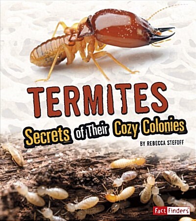 Termites: Secrets of Their Cozy Colonies (Paperback)