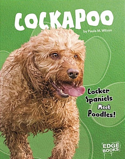 Cockapoo: Cocker Spaniels Meet Poodles! (Hardcover)