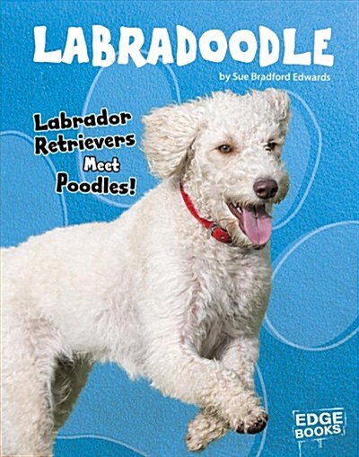 Labradoodle: Labrador Retrievers Meet Poodles! (Hardcover)