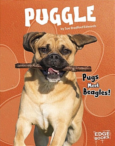 Puggle: Pugs Meet Beagles! (Hardcover)
