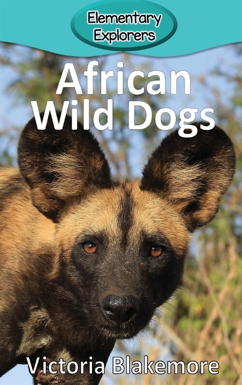 African Wild Dogs (Hardcover)