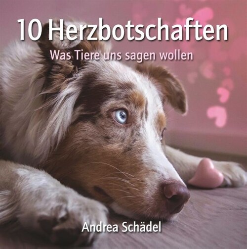 10 Herzbotschaften (Hardcover)