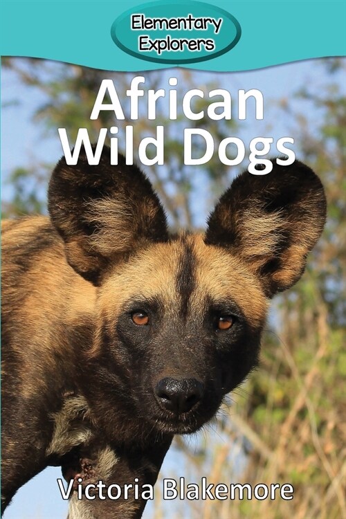 African Wild Dogs (Paperback)