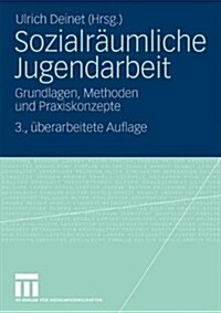 Sozialr?mliche Jugendarbeit: Grundlagen, Methoden Und Praxiskonzepte (Paperback, 3, 3., Uberarb. Au)