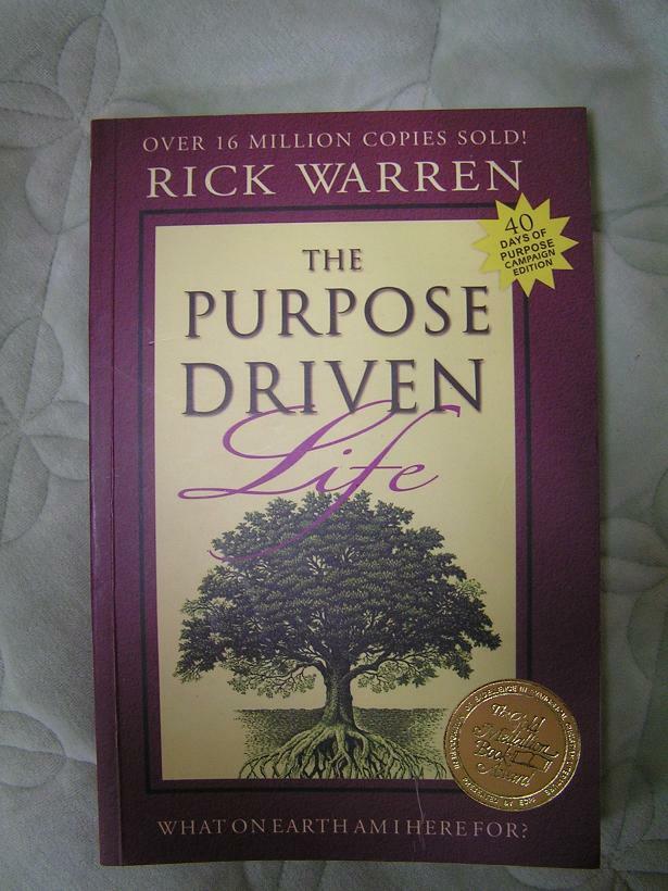 (The)Purpose driven: what on earth am I here for?
