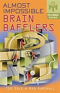 Almost Impossible Brain Bafflers (Paperback)