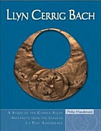 Llyn Cerrig Bach : A Study of the Copper Alloy Artefacts from the Insular La Taene Assemblage (Hardcover)