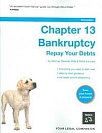 Chapter 13 Bankruptcy (Paperback, 8th)