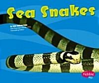 Sea Snakes (Library Binding)