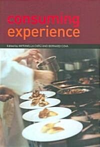 Consuming Experience (Paperback, 1st)