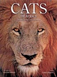 Cats of Africa (Hardcover)