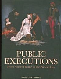Public Executions (Hardcover)