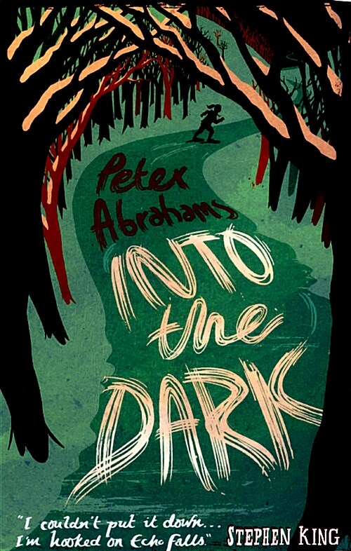 Into the Dark : An Echo Falls Mystery (Paperback)