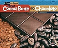 From Cocoa Bean to Chocolate (Paperback)