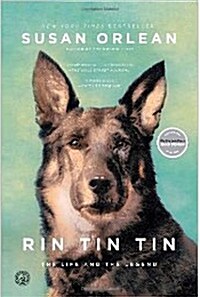 [중고] Rin Tin Tin (Paperback)