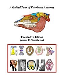A Guided Tour of Veterinary Anatomy (Hardcover)