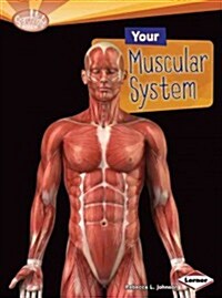 Your Muscular System (Paperback)