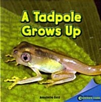 A Tadpole Grows Up (Paperback)