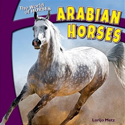 Arabian Horses (Paperback)