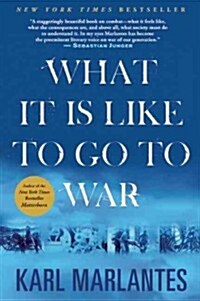 What It Is Like to Go to War (Paperback)