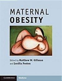 Maternal Obesity (Hardcover)