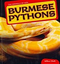 Burmese Pythons (Paperback)