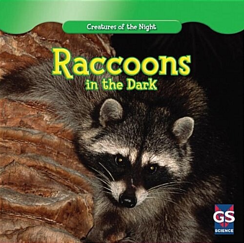 Raccoons in the Dark (Paperback)