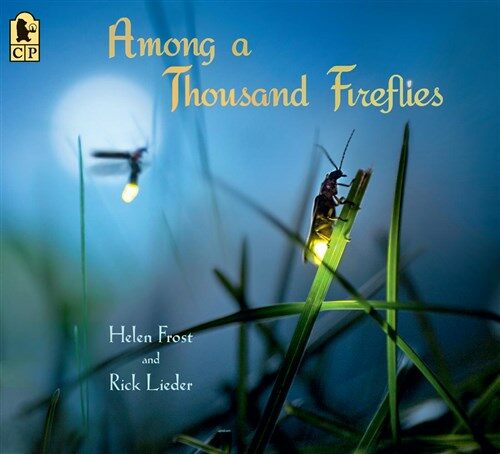 Among a Thousand Fireflies (Paperback, Reprint)