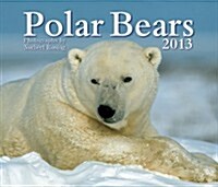 Polar Bears 2013 Calendar (Paperback, Wall)