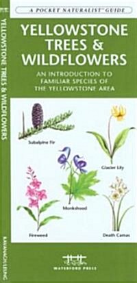 Yellowstone Trees & Wildflowers: A Folding Pocket Guide to Familiar Plants of the Yellowstone Area (Other)