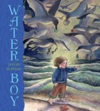 Water Boy (Hardcover)