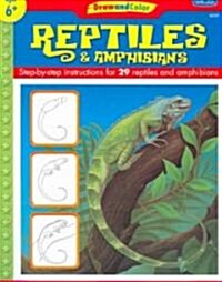 [중고] Draw And Color Reptiles & Amphibians (Paperback)