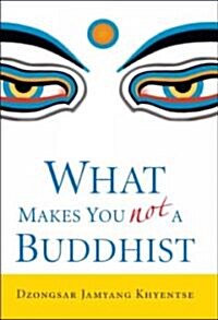 What Makes You Not a Buddhist (Hardcover)