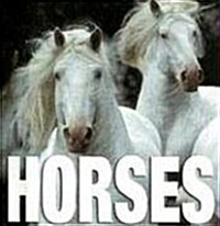 Horses (Minicube) (Novelty, Revised)