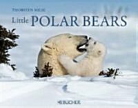 Little Polar Bears (Hardcover)