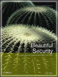 Beautiful security 1st ed