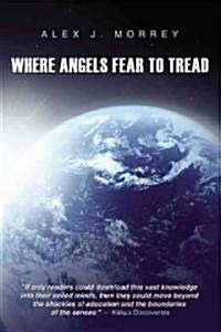 Where Angels Fear to Tread: The Nature of Reality and Meaning of God (Paperback)