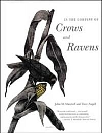 In the Company of Crows and Ravens (Paperback)