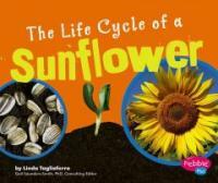 The Life Cycle of a Sunflower (Library Binding)