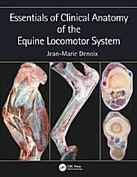 Essentials of Clinical Anatomy of the Equine Locomotor System (Hardcover)