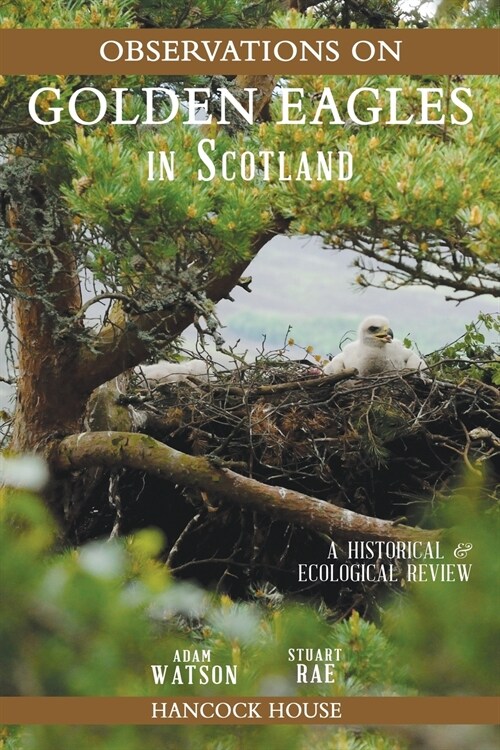 Observations of Golden Eagles in Scotland: A Historical and Ecological Review (Paperback)