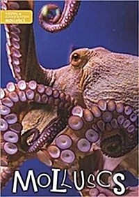 Molluscs (Paperback)