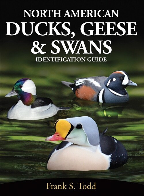 North American Ducks, Geese and Swans: Identification Guide (Paperback)