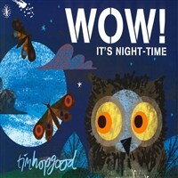 WOW! It's Night-time (Paperback)