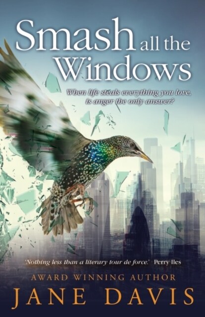 Smash all the Windows (Paperback)