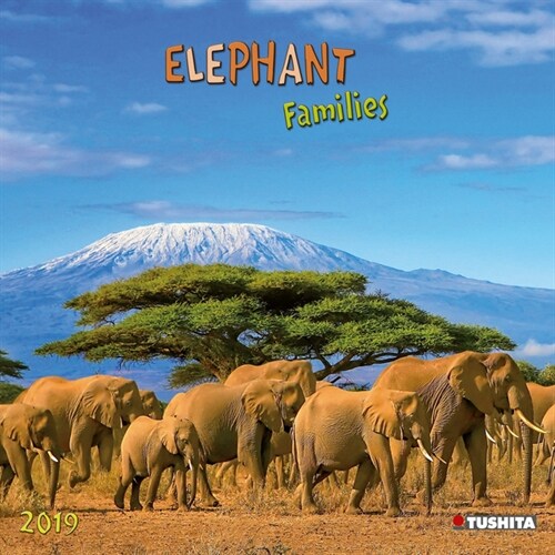 Elephant Families 2019 (Calendar)